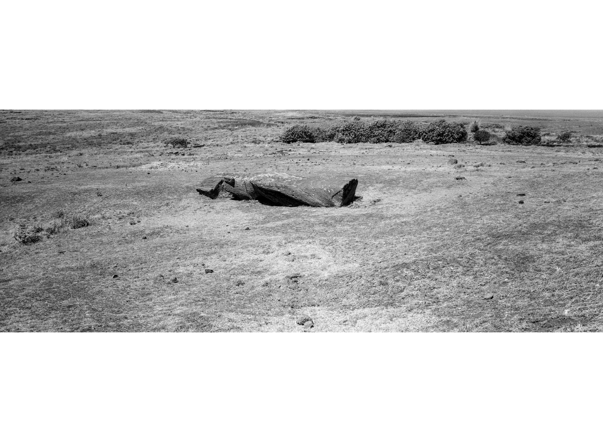 Romain REDLER Photographies Nos Royaumes